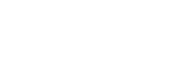 Tecgruo Maniobras